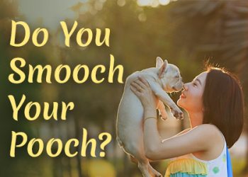 Do you smooch your pooch